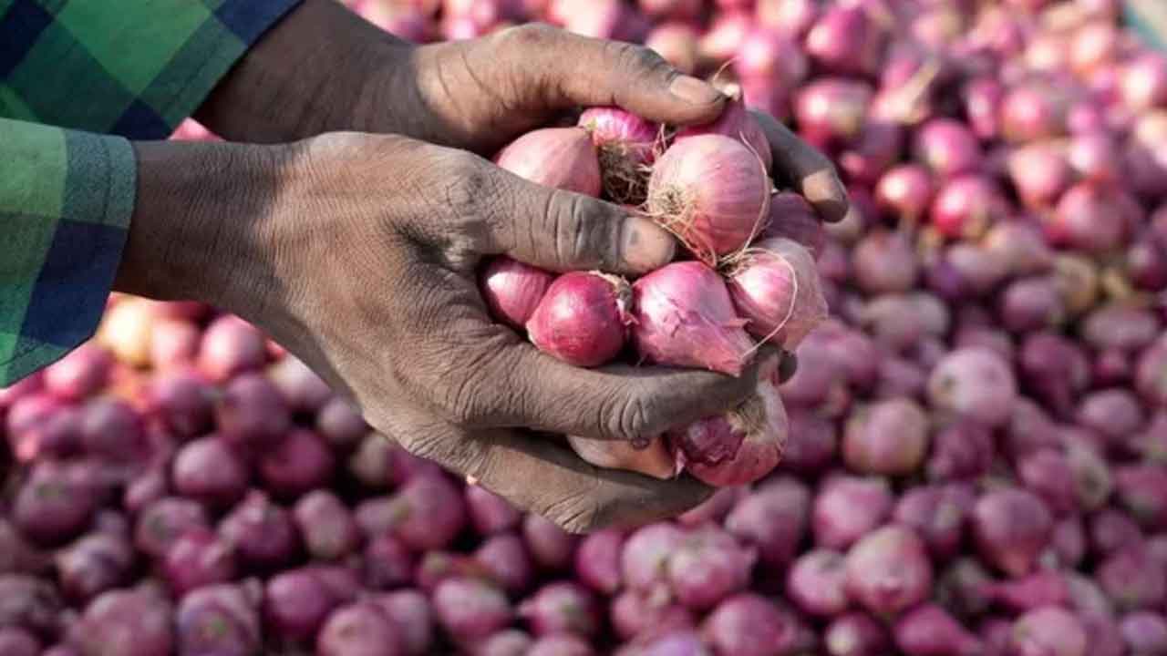 দুই দেশ থেকে এলো ২২৬ টন পেঁয়াজ