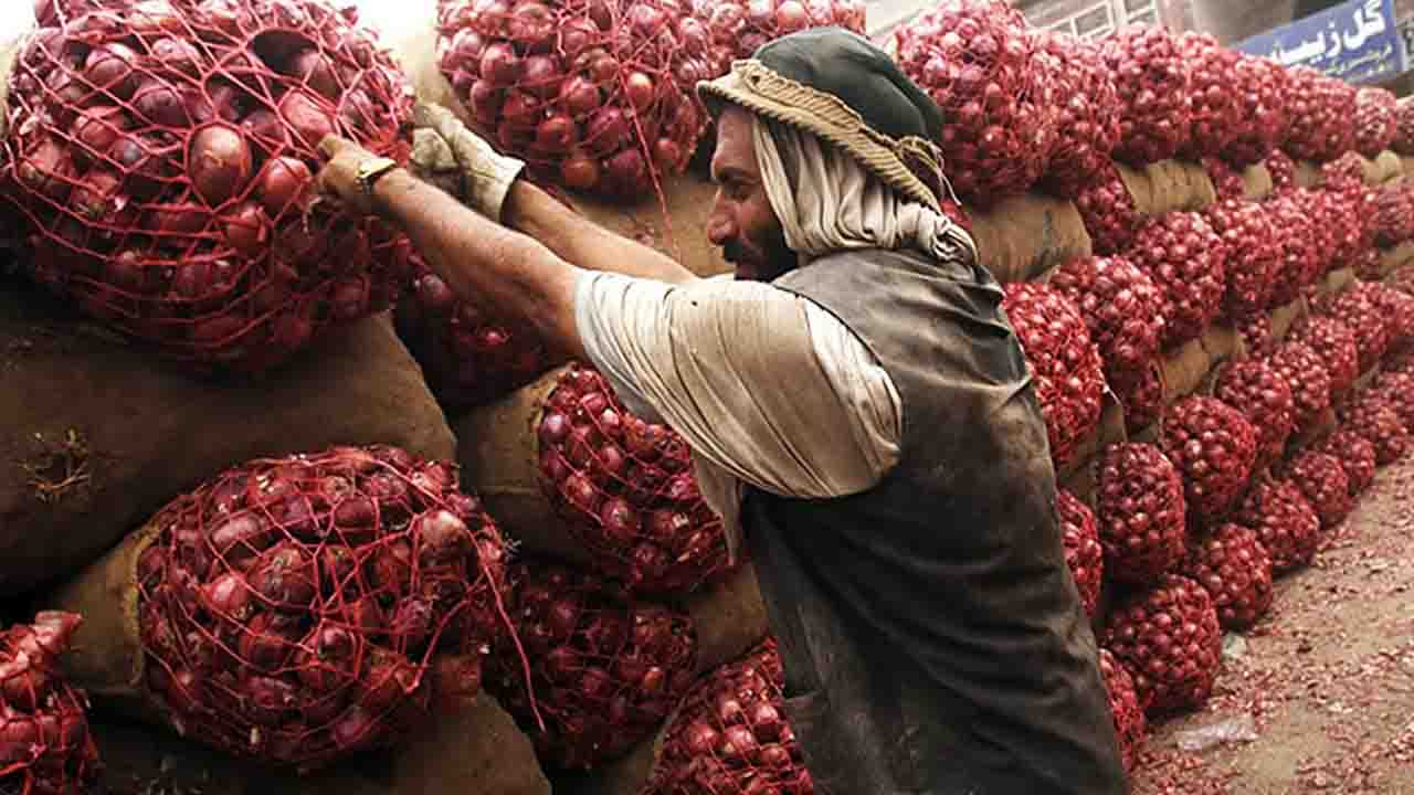 দুবাই থেকে আসছে হাজার টন পেঁয়াজ