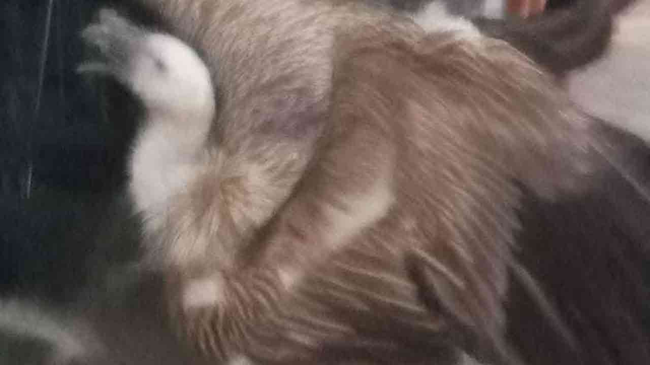 ছবি: দেশ টিভি