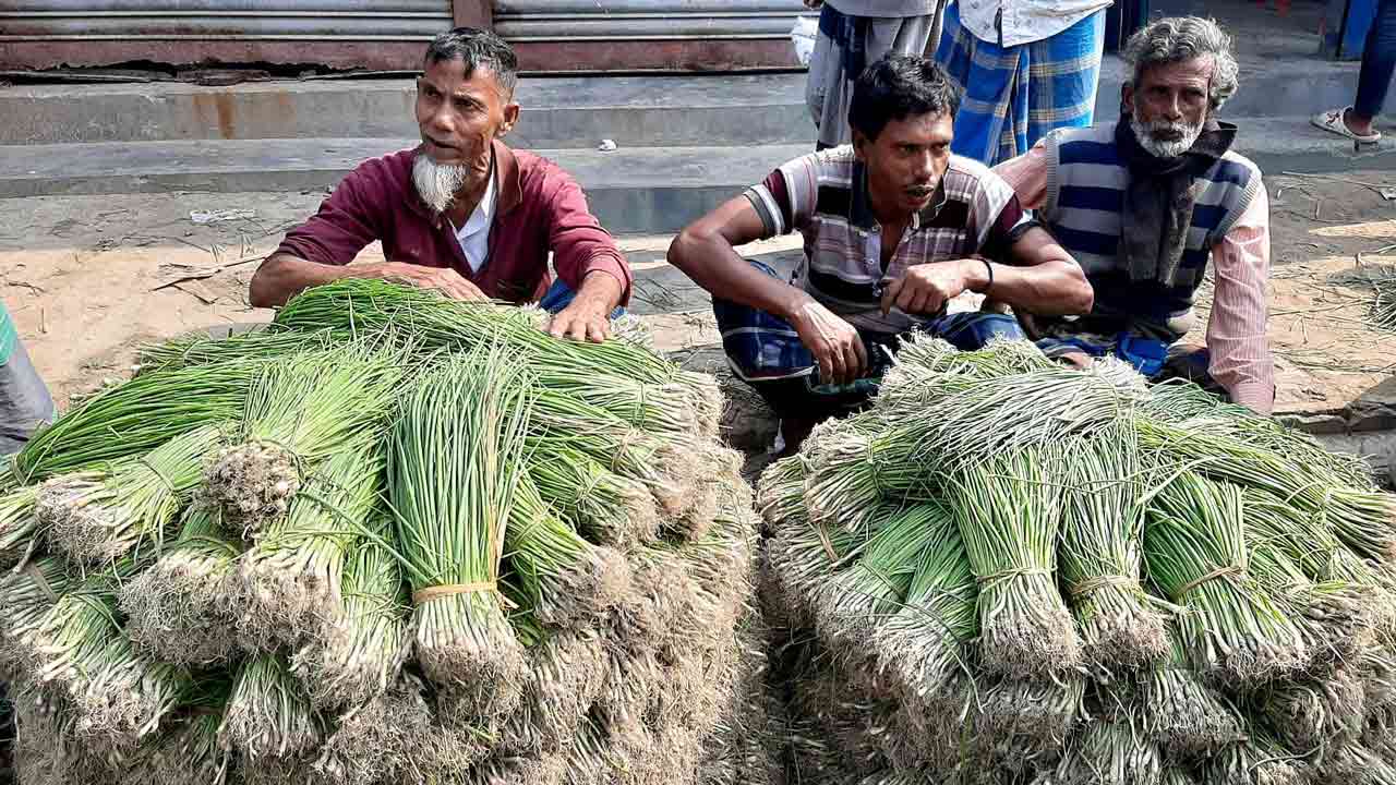 রাজবাড়ীতে হালি পেঁয়াজ লাগানোর প্রস্তুতি নিচ্ছে কৃষক