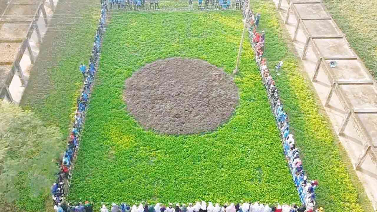 শেরপুরে জাতীয় পতাকার আদলে সবজির মাঠ