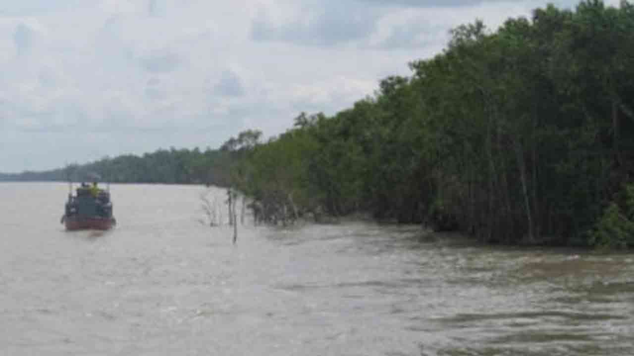 মৃত ডলফিন মাটিচাপা দিলো সিপিজি