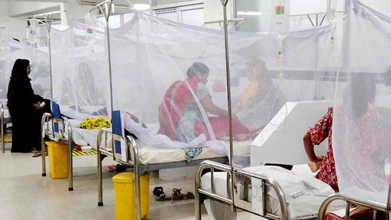 ২৪ ঘণ্টায় ডেঙ্গুতে আরও ৪ মৃত্যু 
