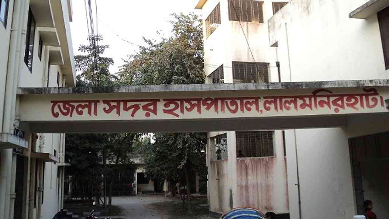 ফাইল ছবি