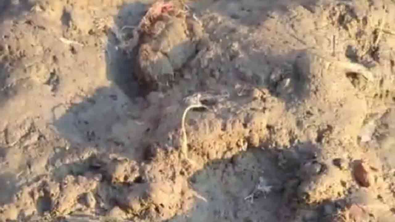 মেঘনা নদীর পাড় থেকে অজ্ঞাতনামা নারীর মরদেহ উদ্ধার