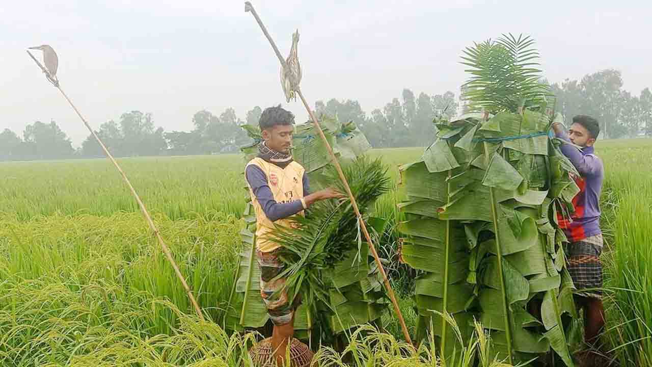 ছবি: দেশ টিভি
