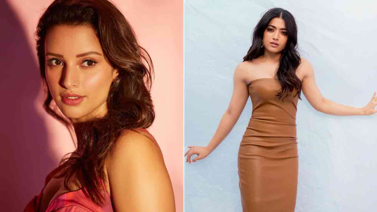 রাশ্মিকার সঙ্গে রসায়ন কেমন ছিল, জানালেন তৃপ্তি