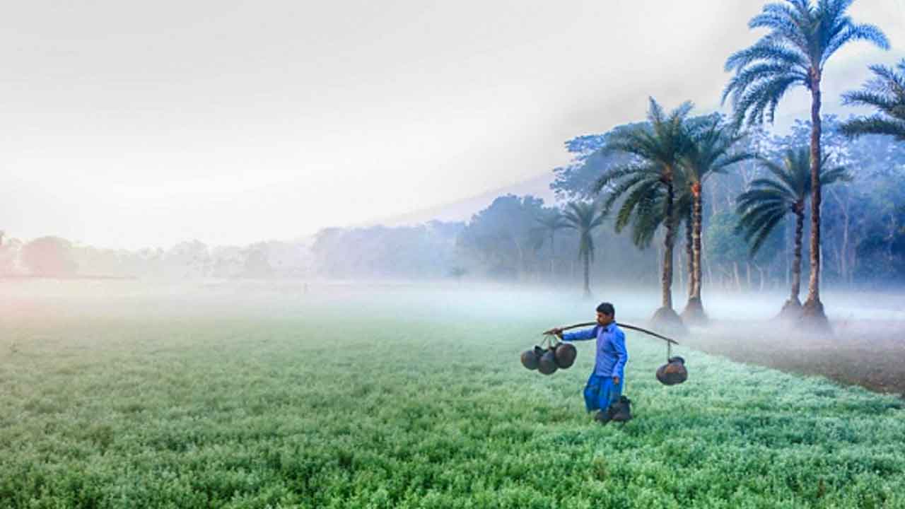 বছরের শুরুতে বাড়তে পারে শীত