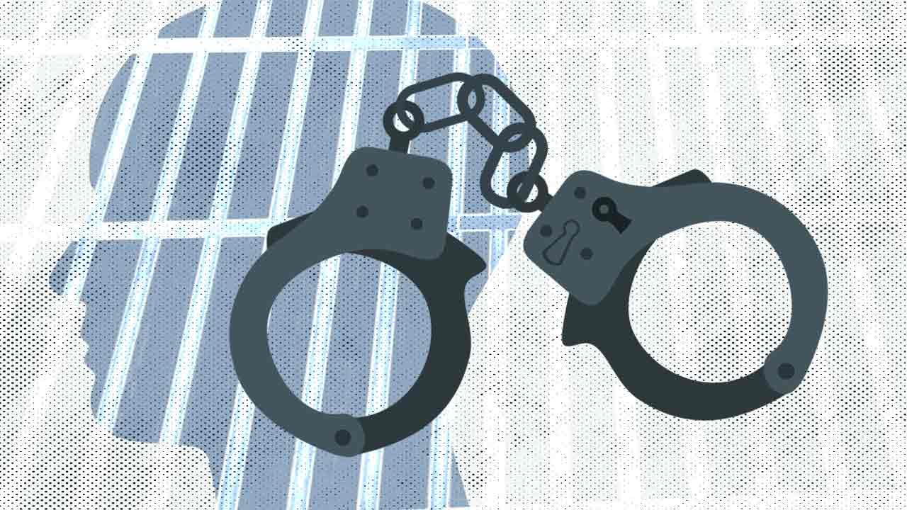 রামগঞ্জে লিফলেট বিতরণকালে ছাত্রদলসহ বিএনপির চার নেতা গ্রেপ্তার