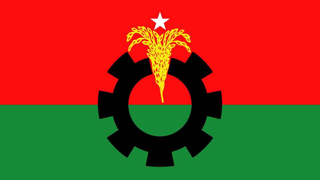 বিএনপির দলীয় পতাকা। ফাইল ছবি