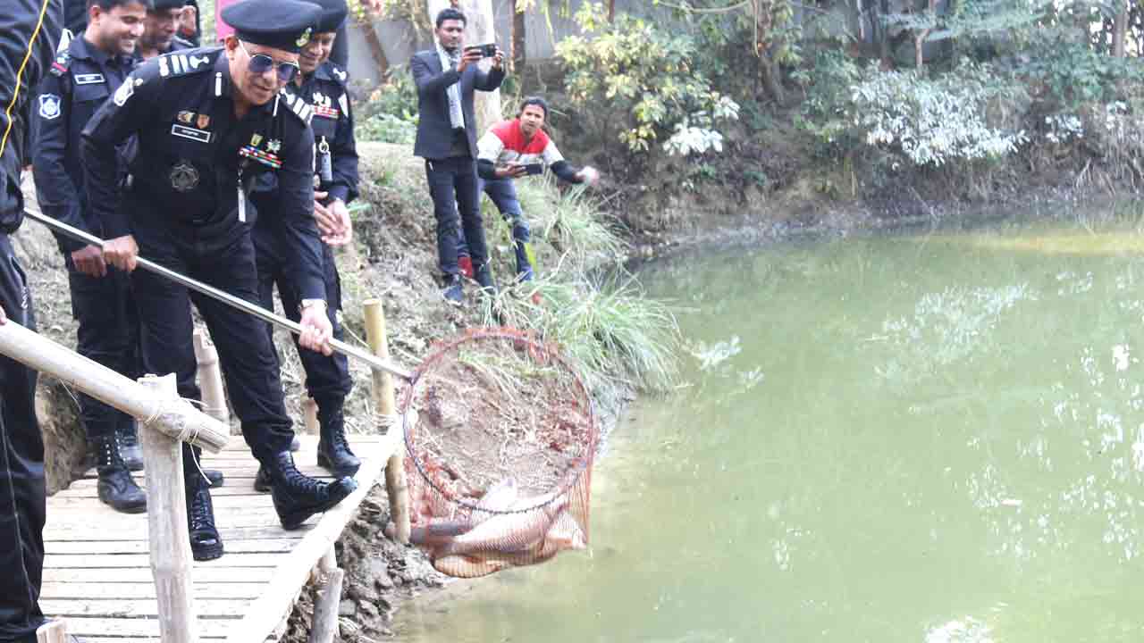 ছবি: দেশ টিভি
