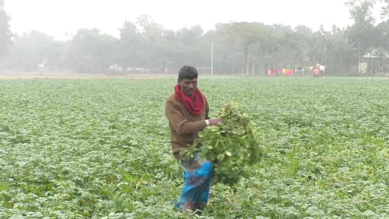 ছবি: দেশ টিভি