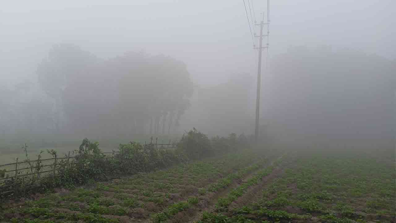 ছবি: দেশ টিভি