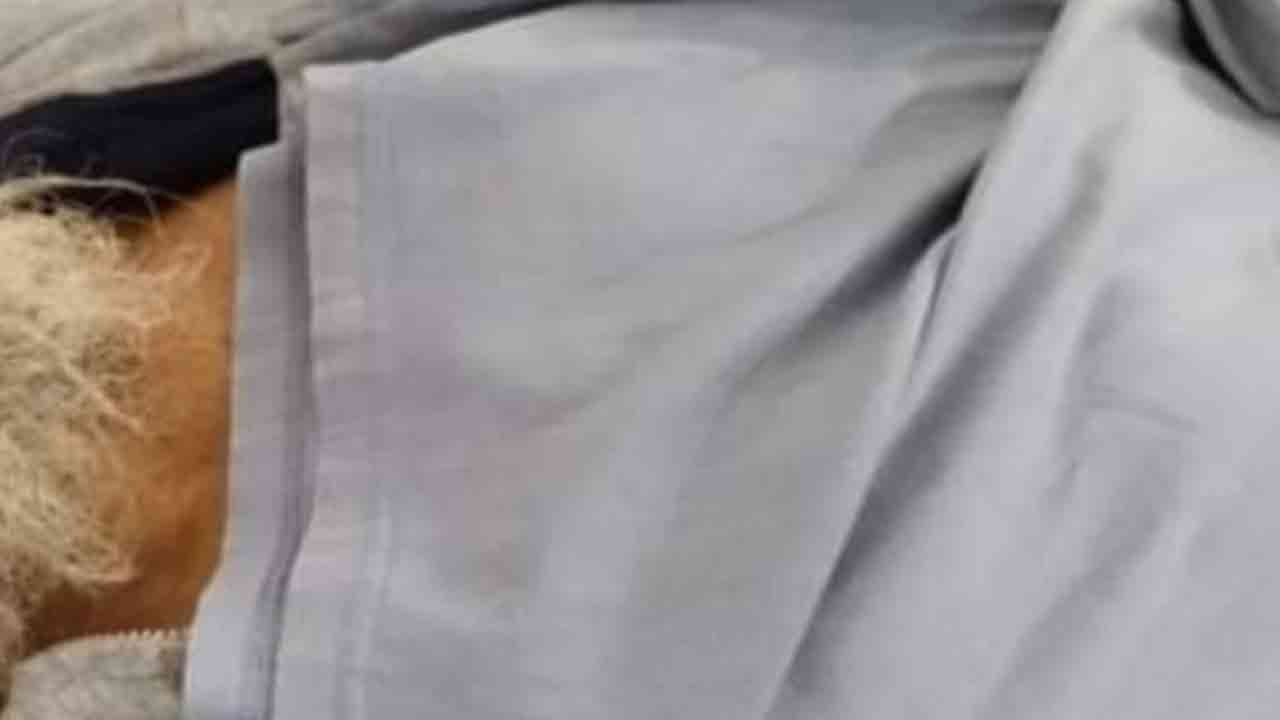 ছবি: দেশ টিভি