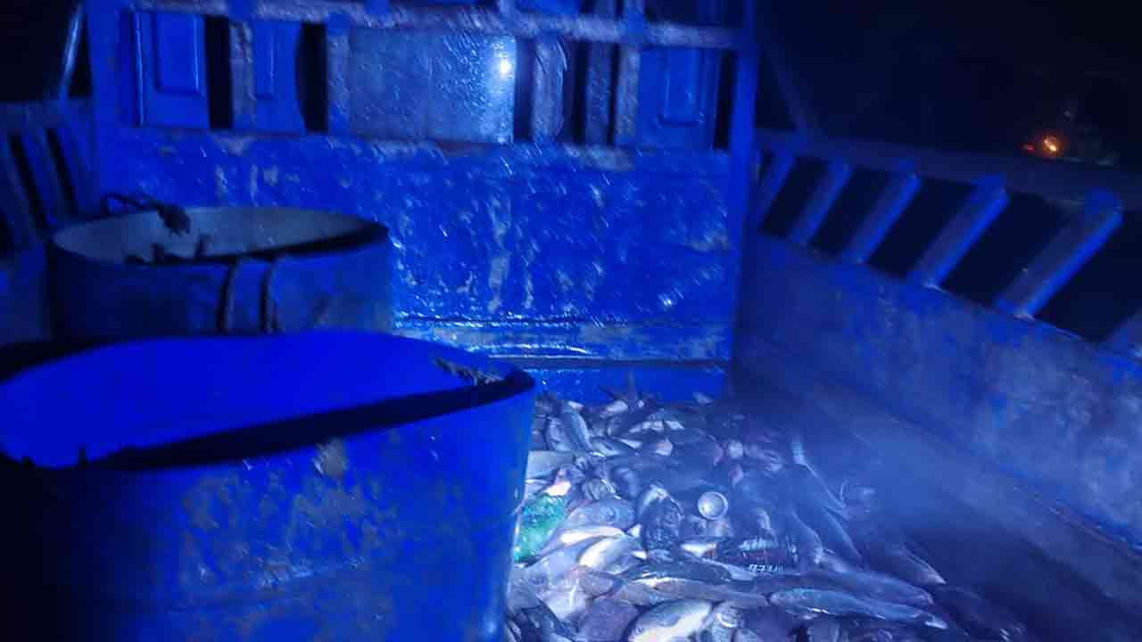 ছবি: দেশ টিভি