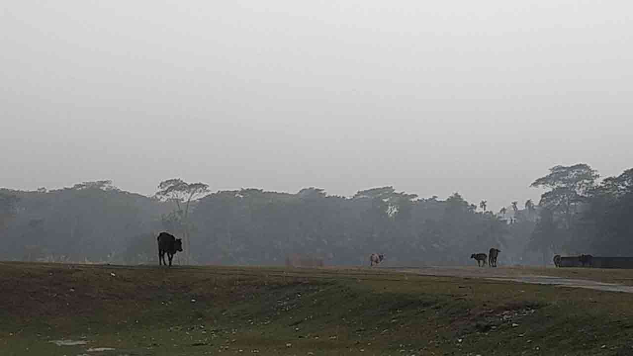 ছবি: দেশ টিভি