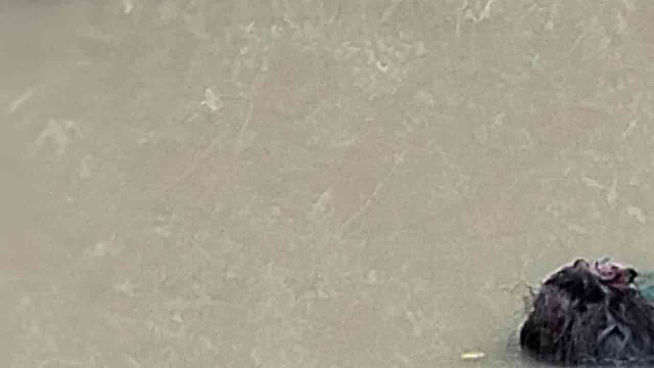 ছবি: দেশ টিভি