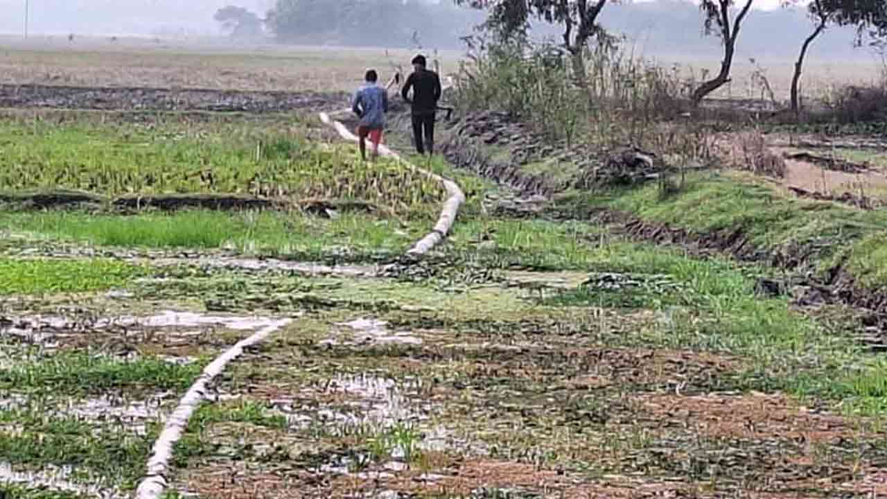 ছবি: দেশ টিভি