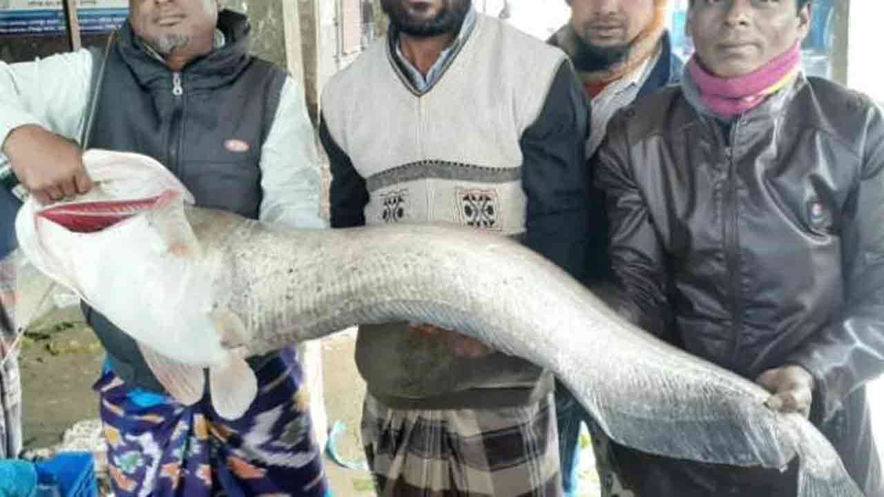 ছবি: দেশ টিভি