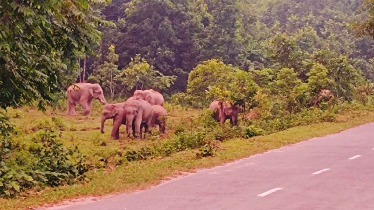 ছবি: দেশ টিভি