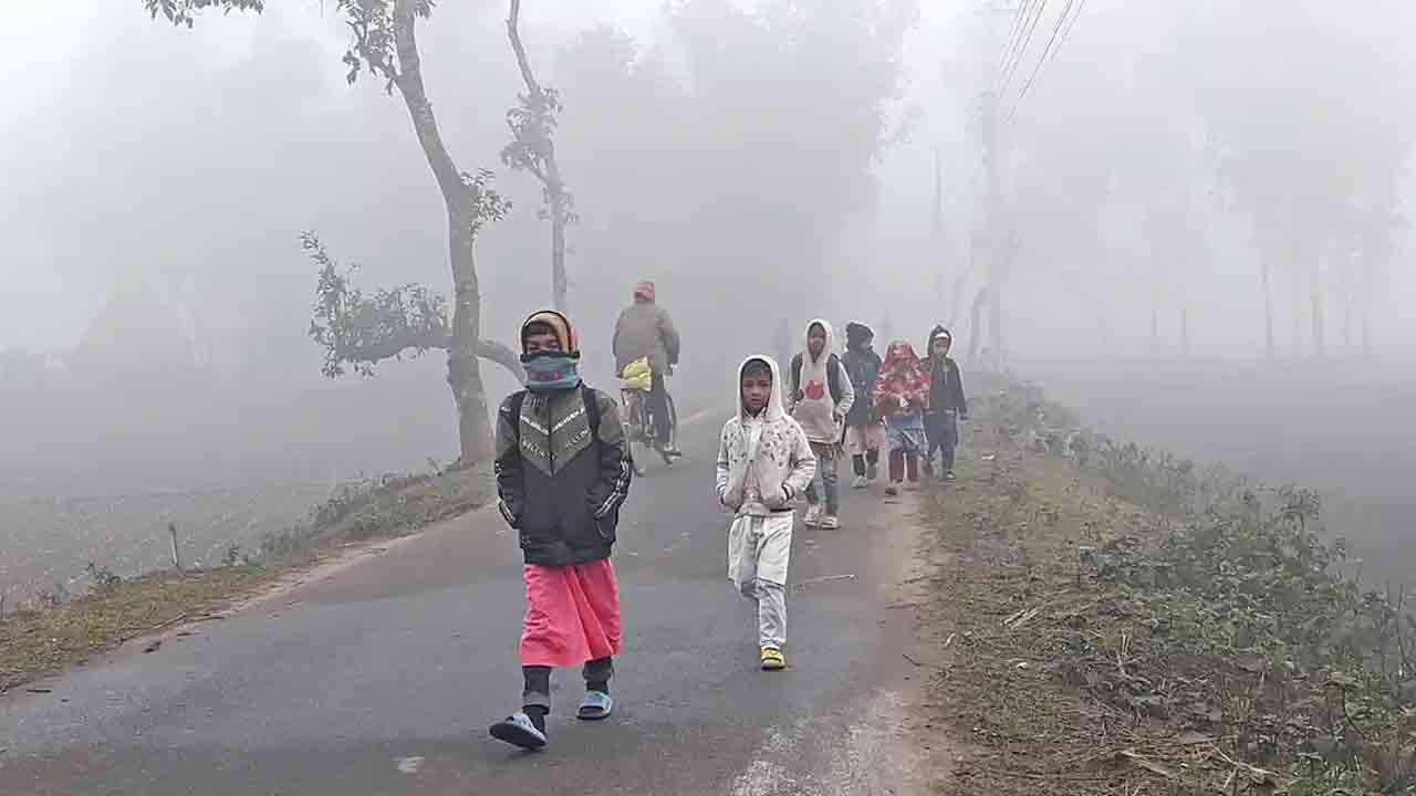 ফাইল ছবি