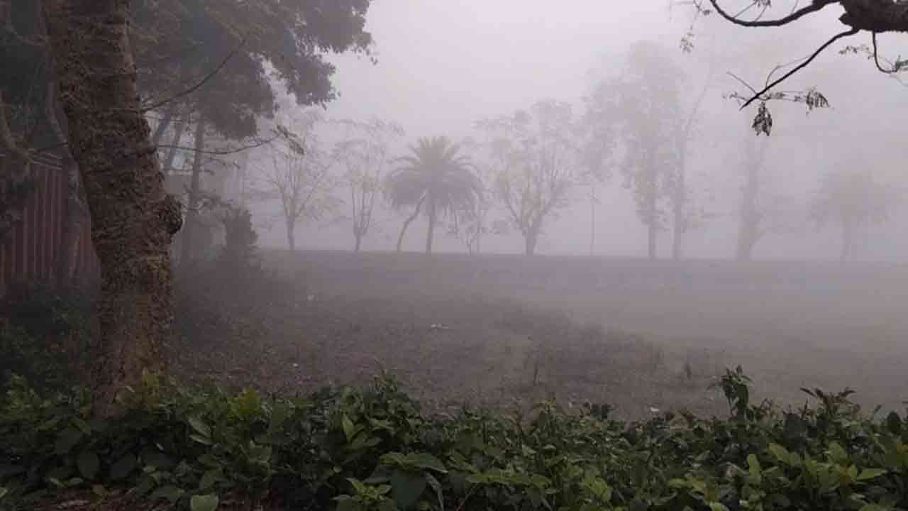 ছবি: দেশ টিভি