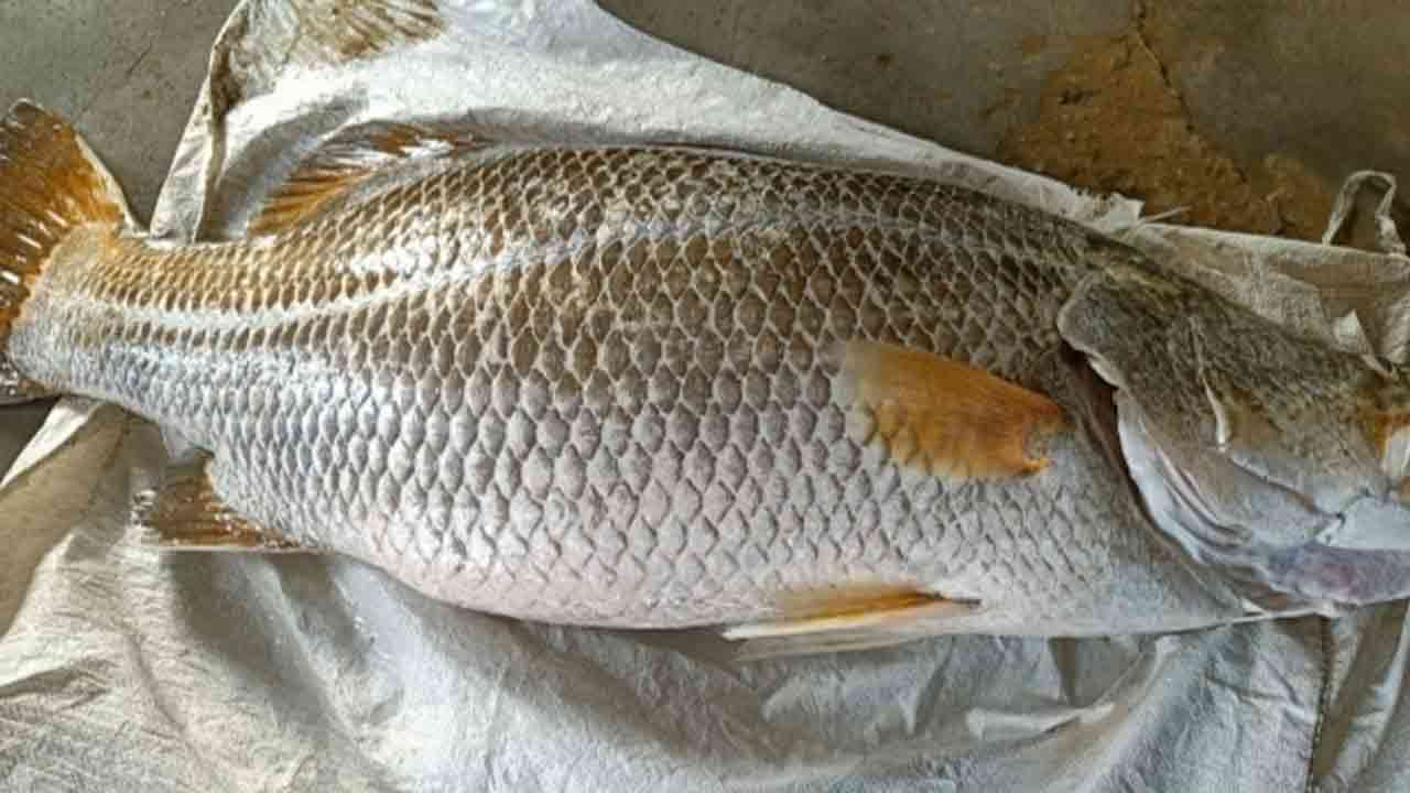 ছবি-দেশ টিভি