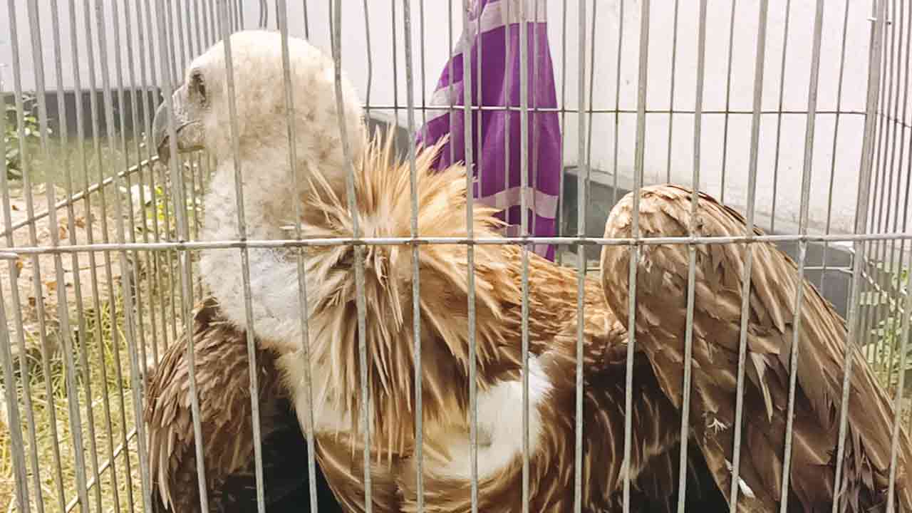 ছবি: দেশ টিভি