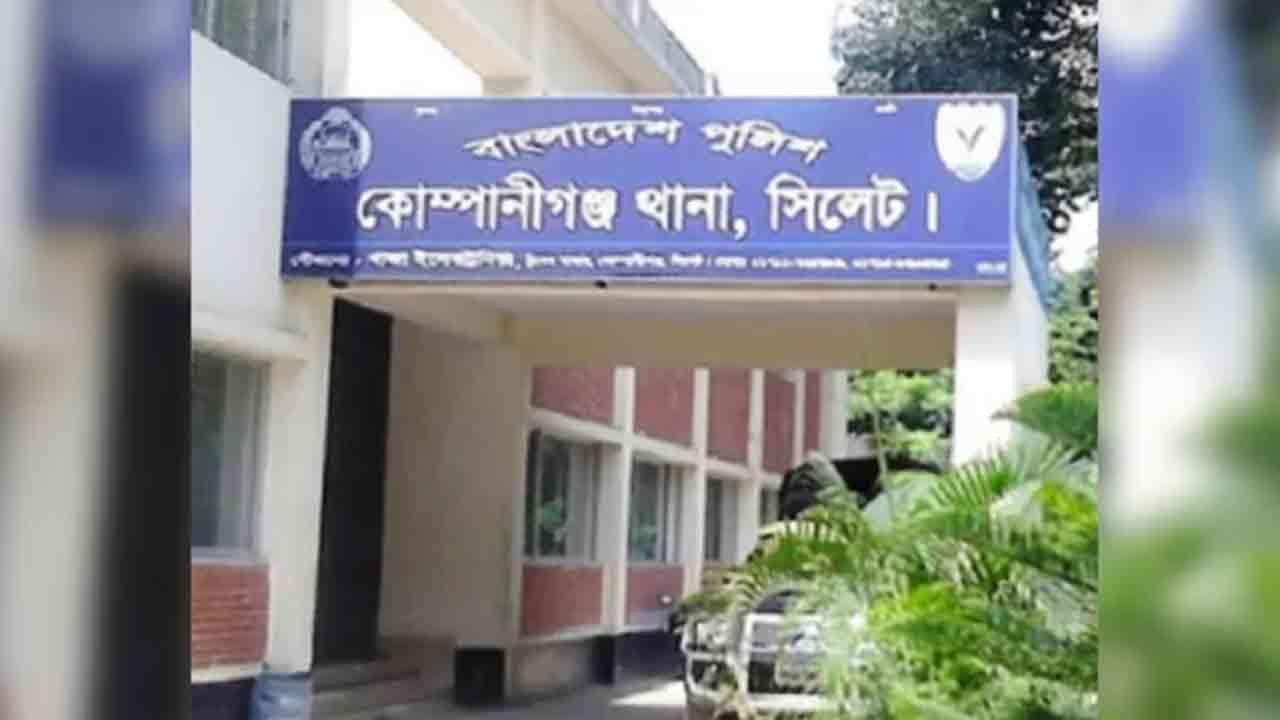 ছবি: ফাইল ছবি