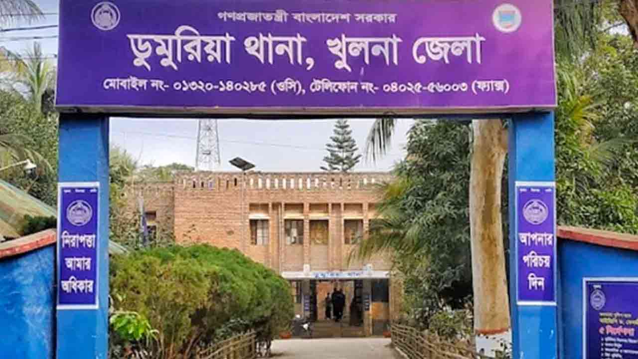 ছবি: ফাইল ছবি