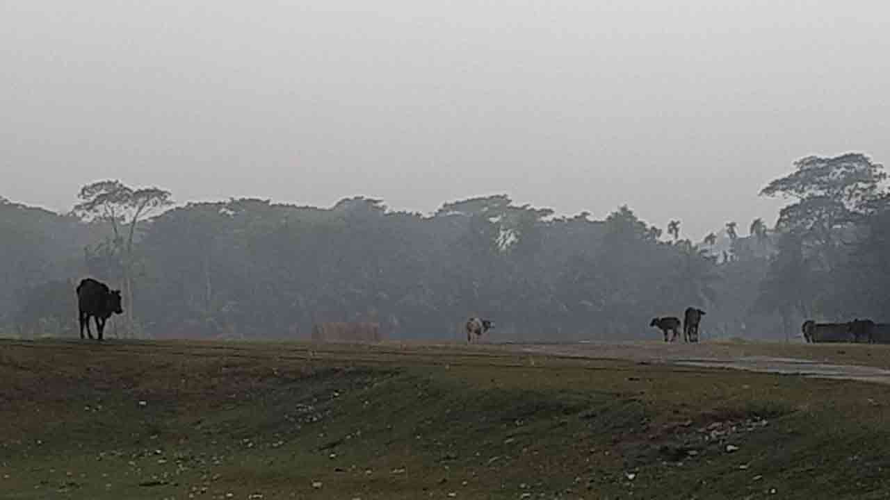 ছবি-দেশ টিভি