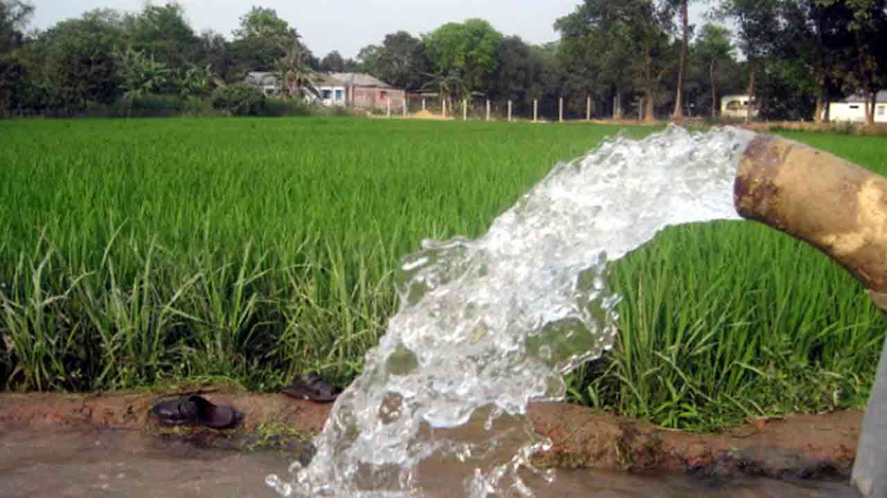 বিদ্যুৎ সাশ্রয়ে রাতে সেচ পাম্প চালানোর অনুরোধ