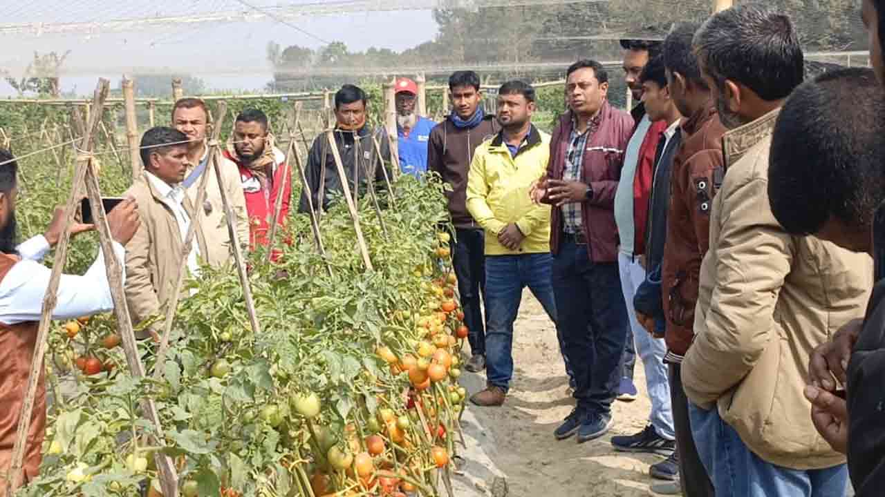 ছবি: দেশ টিভি