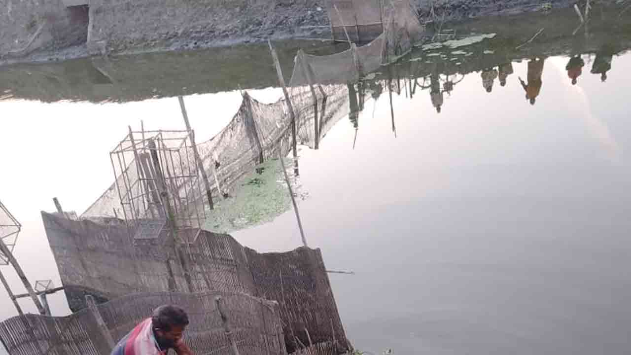 ছবি: দেশ টিভি