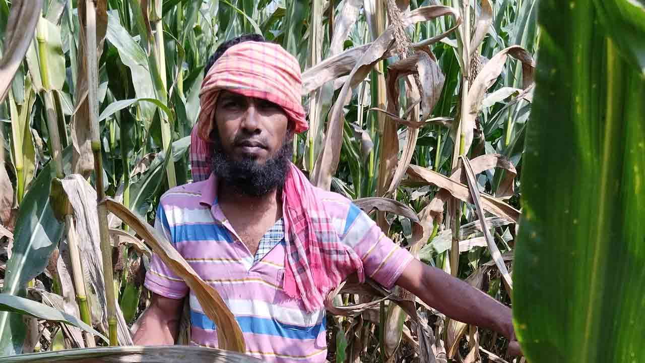 ছবি: দেশ টিভি