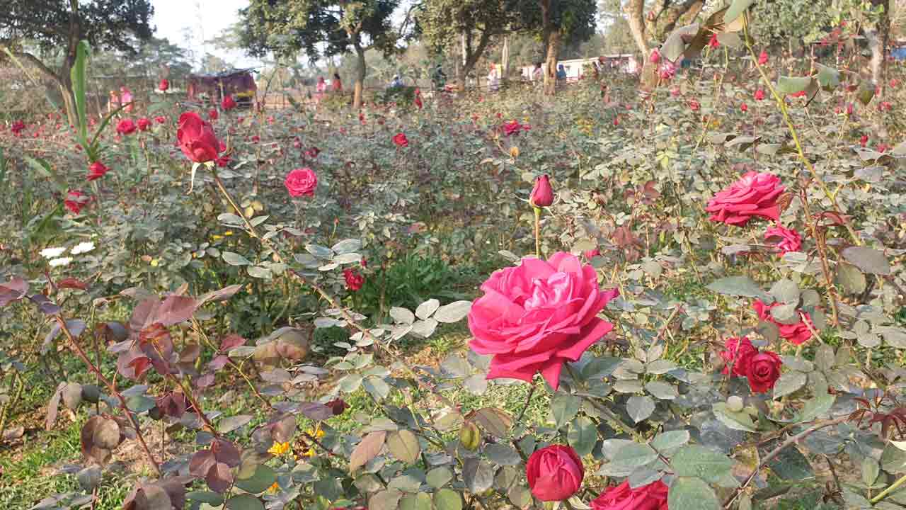 ছবি: দেশ টিভি