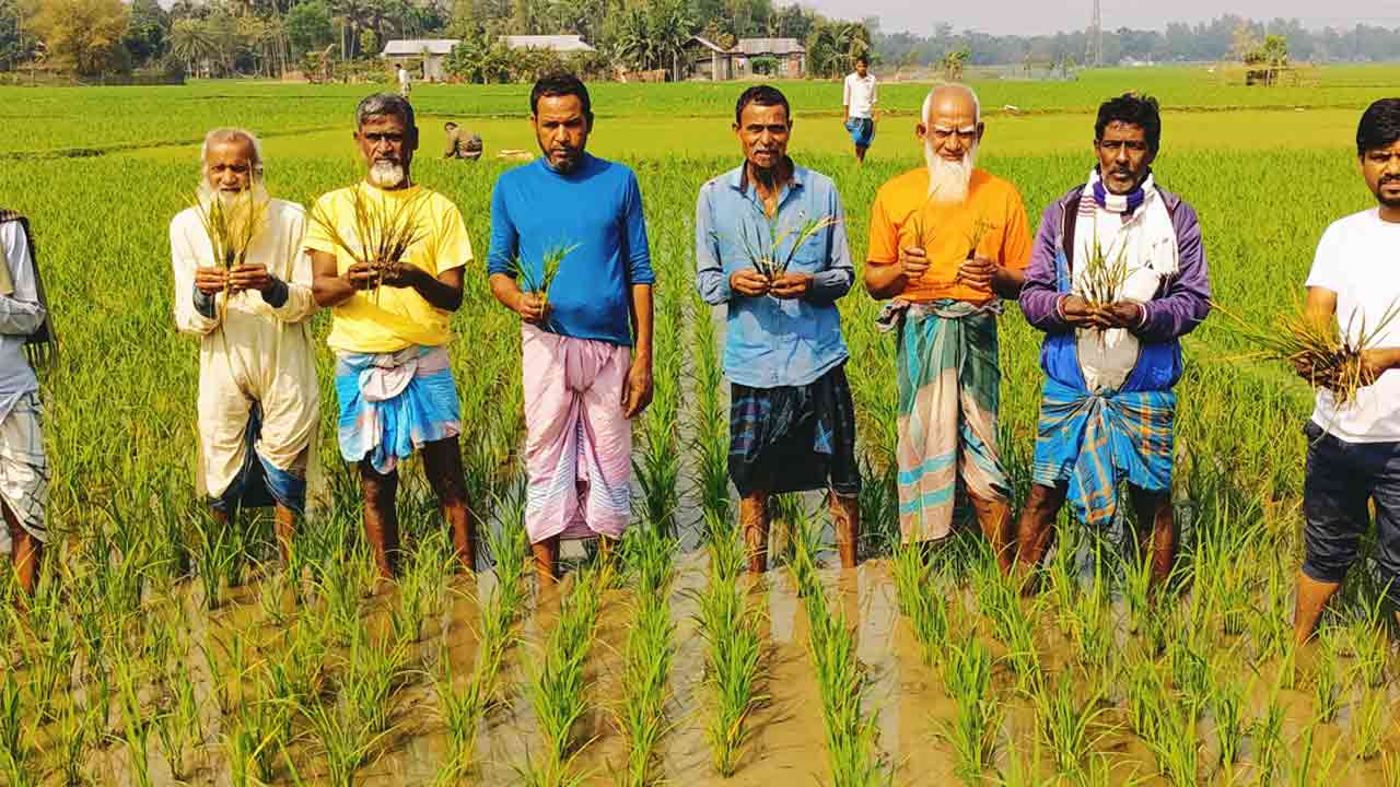 ছবি: ফাইল ছবি