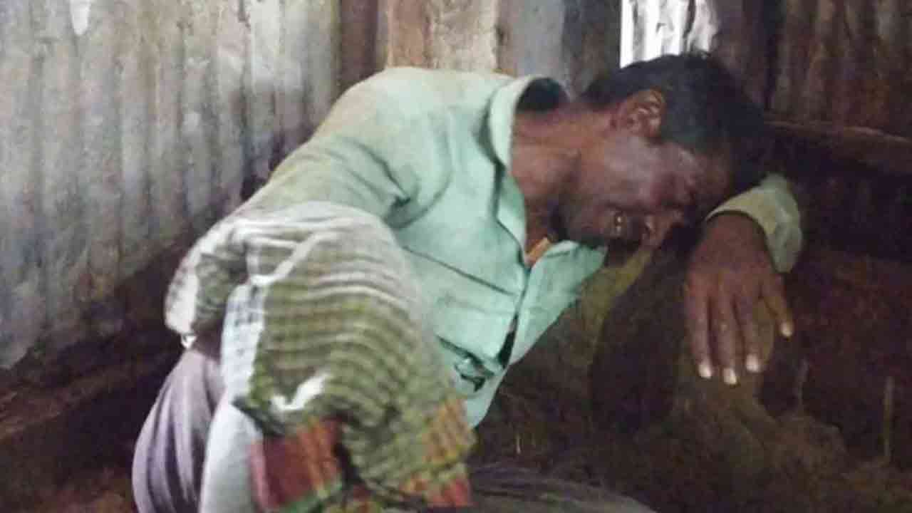 ছবি: সংগৃহীত