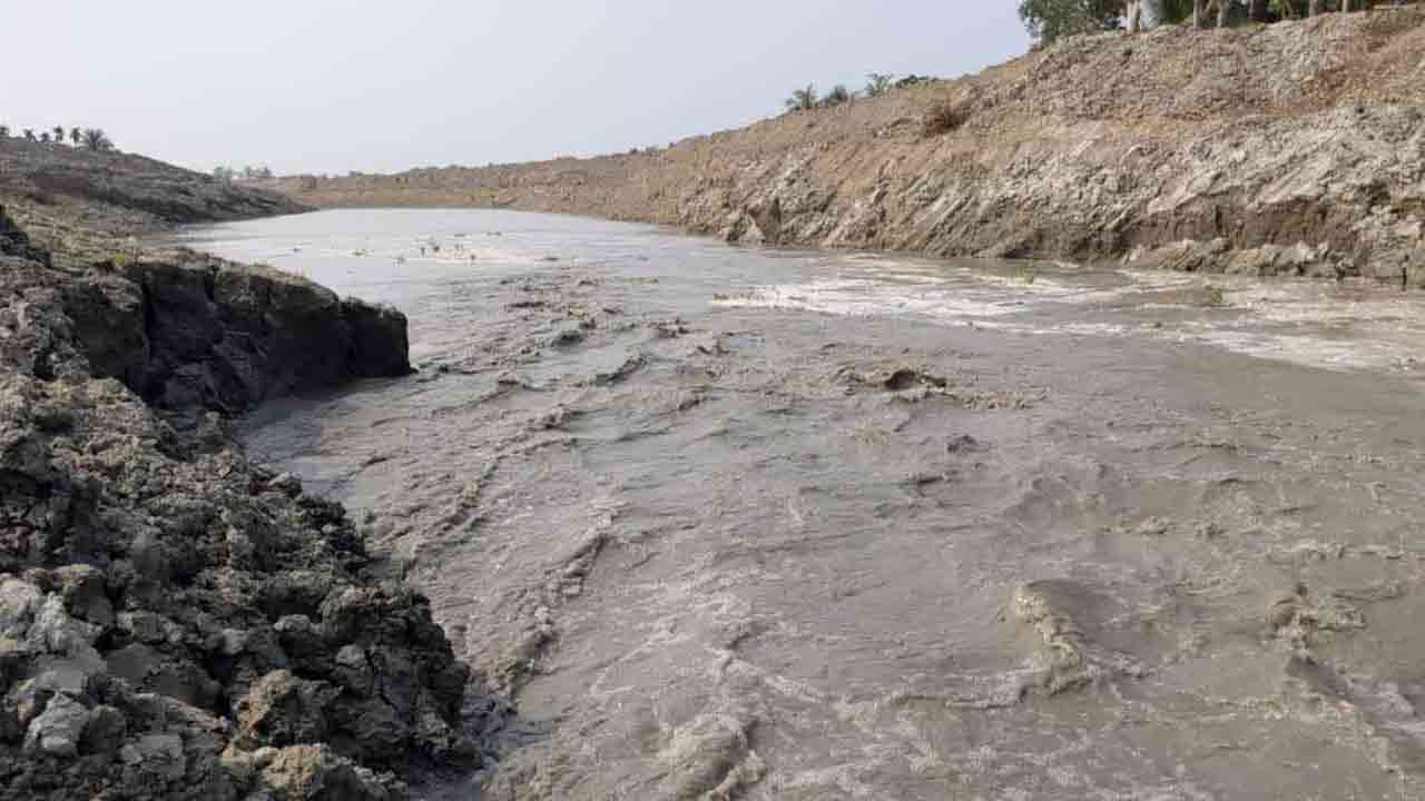 ছবি: দেশ টিভি