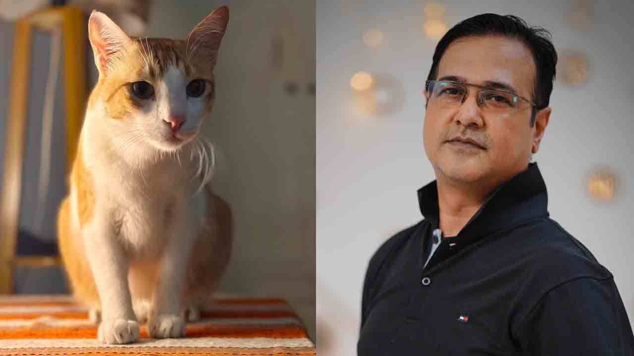 বিড়ালের জন্য পুলিশের দ্বারস্থ আসিফ আকবর। ছবি: সংগৃহীত