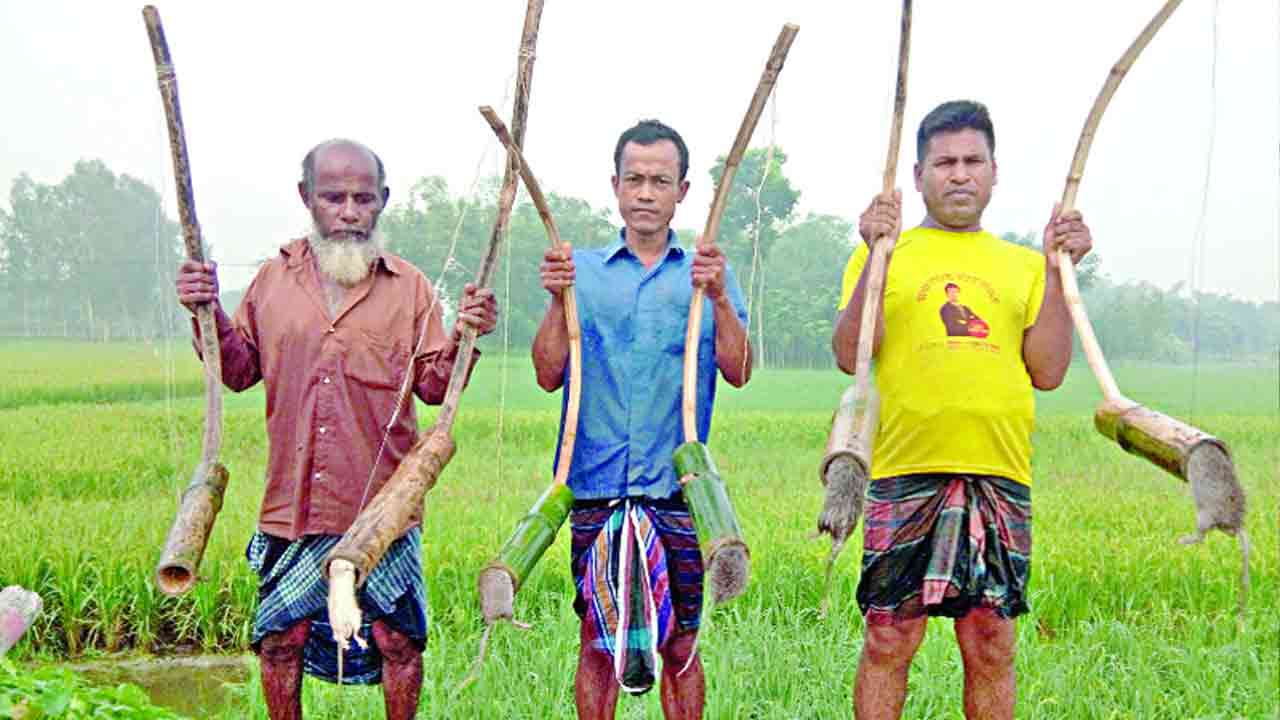 সংগৃহীত ছবি