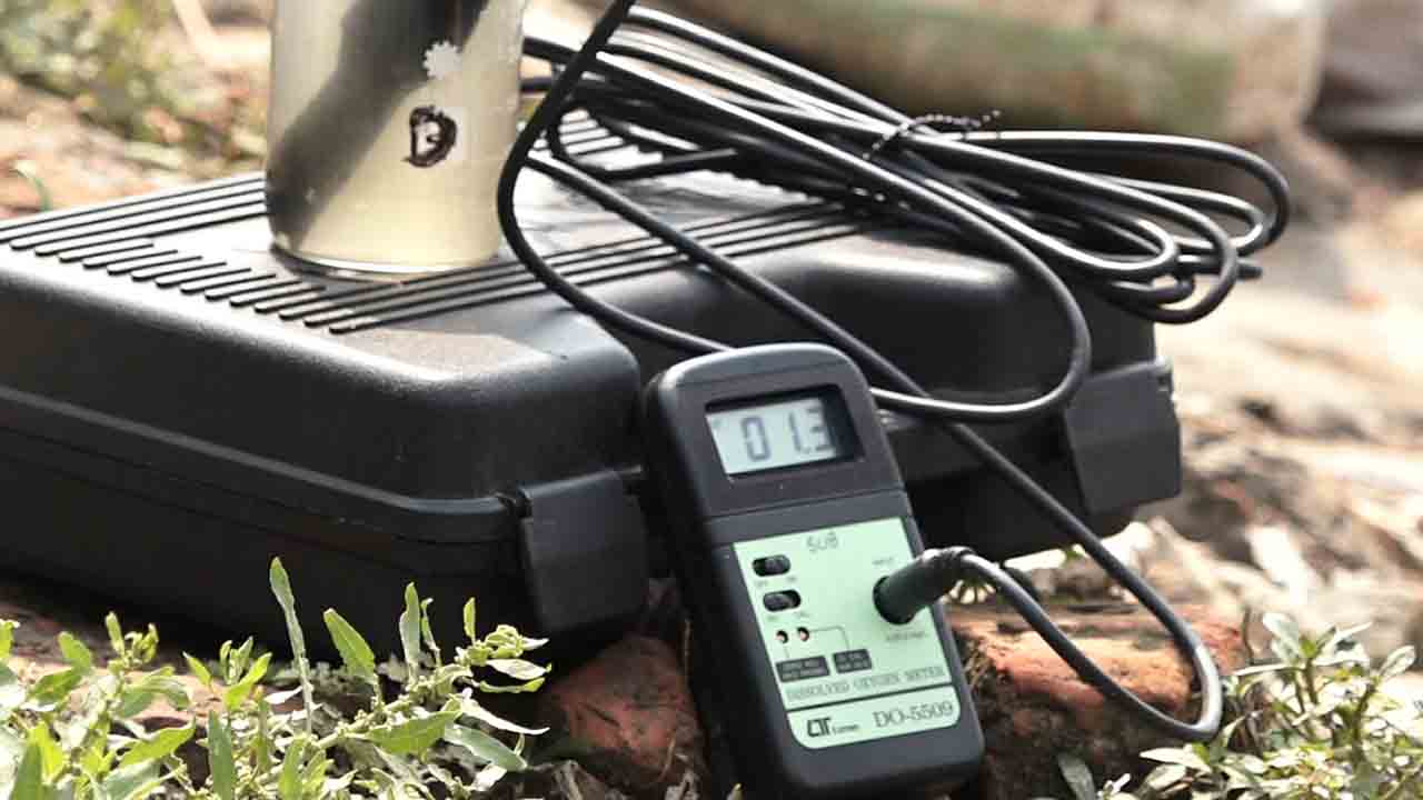 ছবি: দেশ টিভি