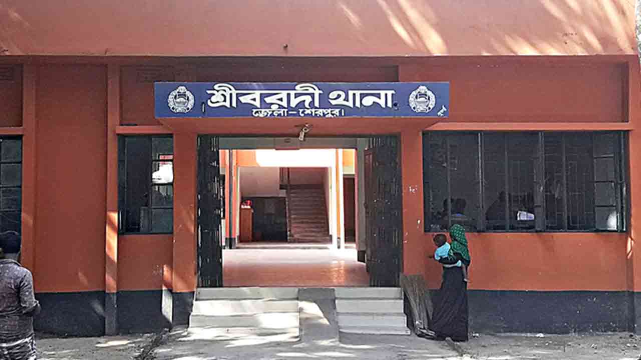 ফাইল ছবি