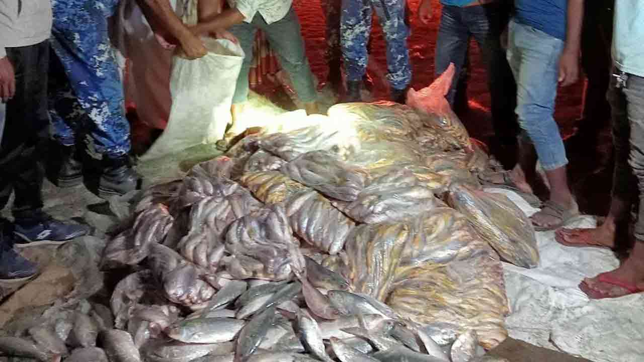 ফাইল ছবি