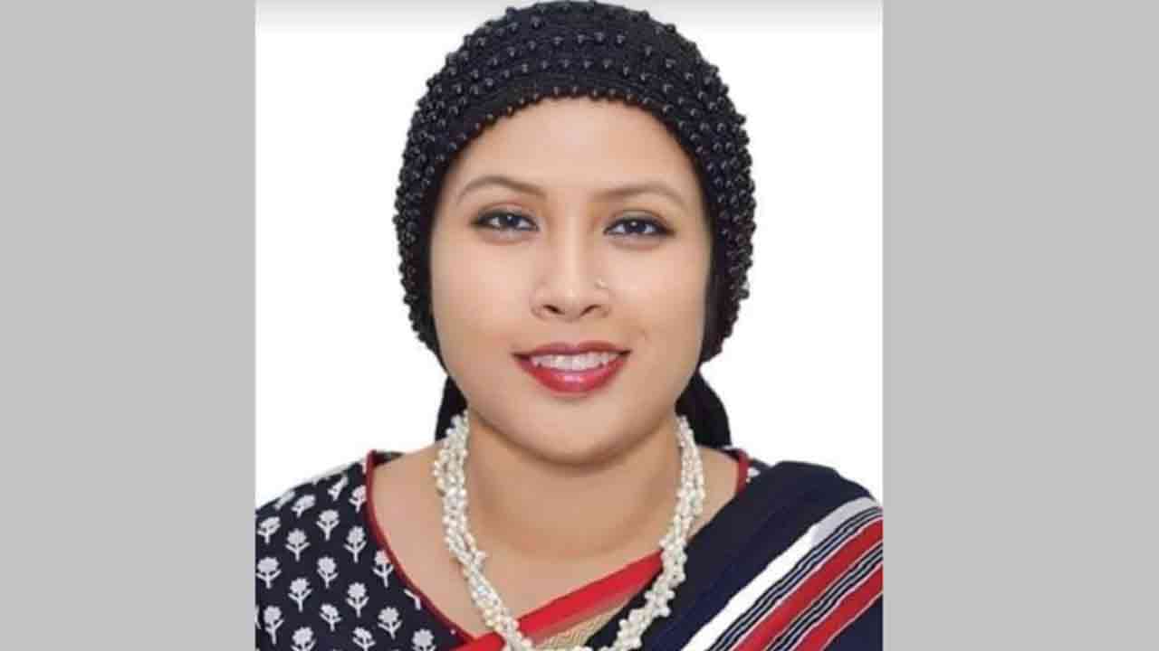 ফাইল ছবি