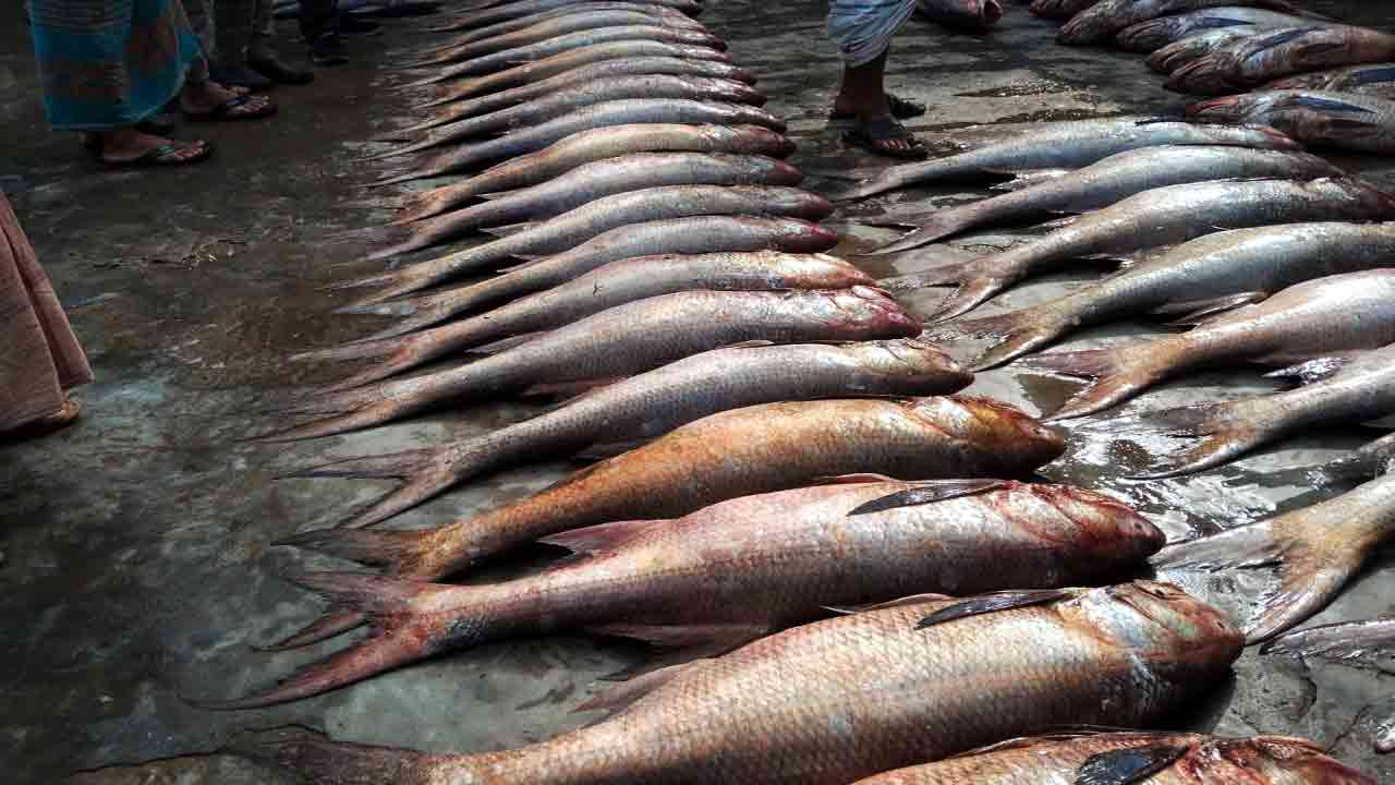 ছবি-দেশ টিভি