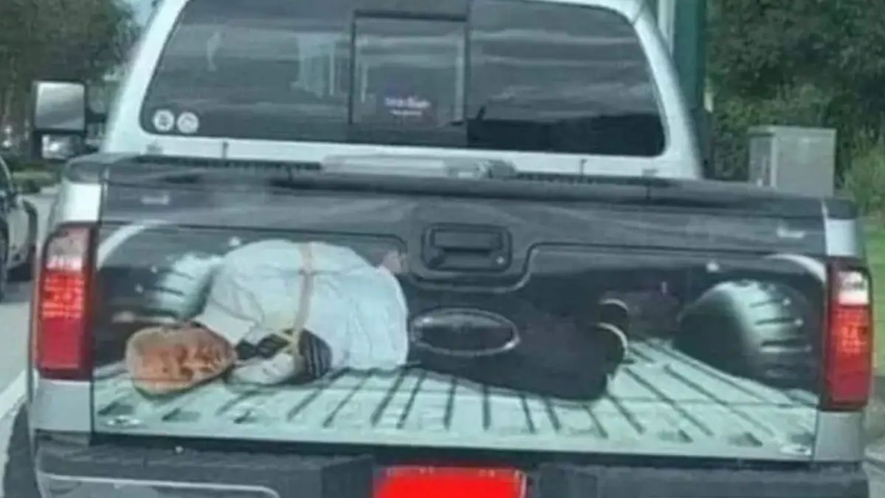 বাইডেনকে অপহরণের ভিডিও পোস্ট, সমালোচনায় জর্জরিত ট্রাম্প / ছবি: স্ট্যান্ডার্ড