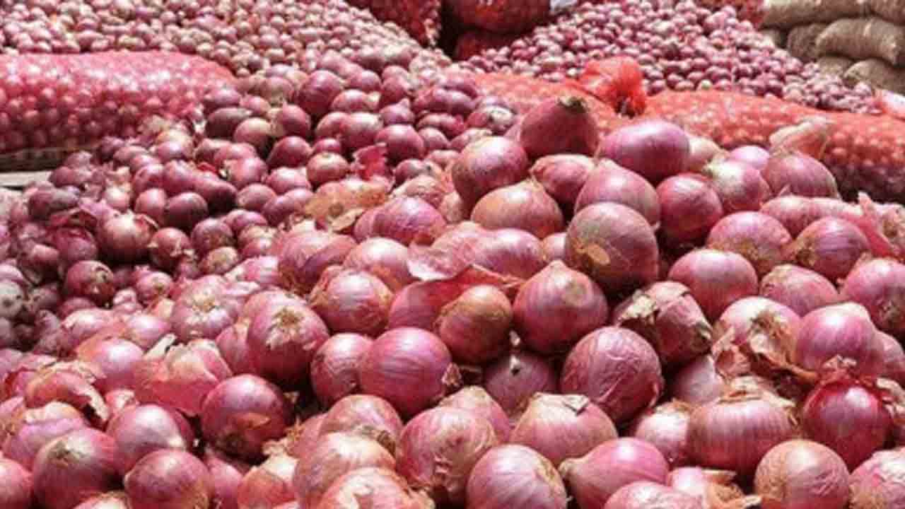 ভারত থেকে এলো ১ হাজার ৬৫০ টন পেঁয়াজ। ফাইল ছবি