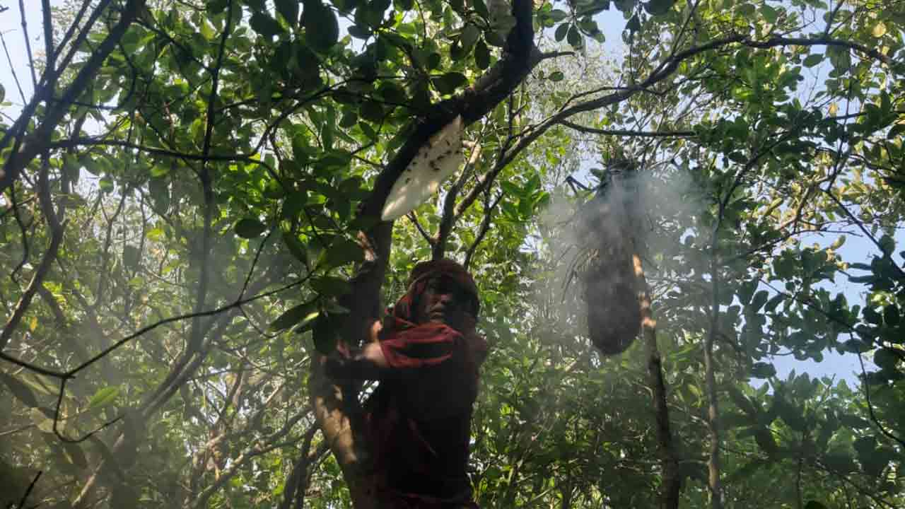 ছবি: দেশ টিভি
