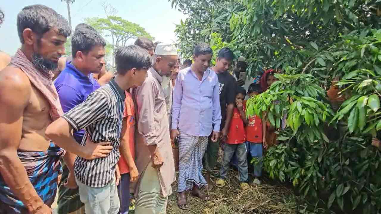 ছবি-দেশ টিভি